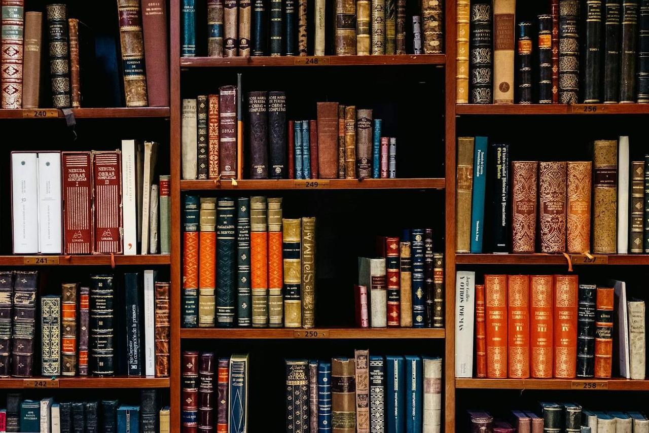 Biblioteca escolar con estantes de libros